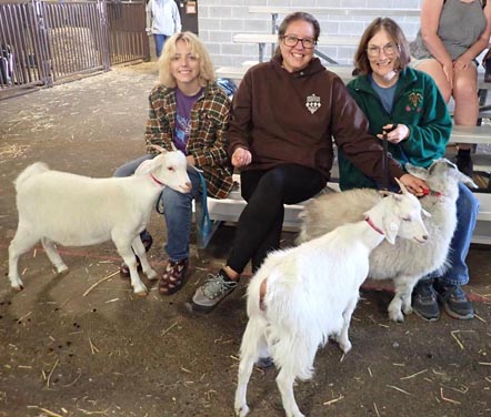 Linda and helpers with goats waiting to show