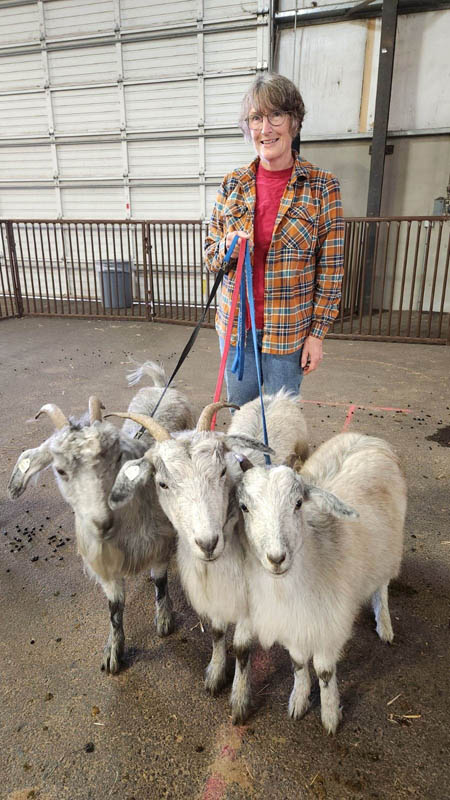 GLinda showing cashmere does