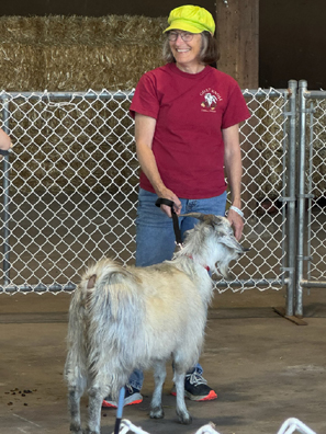 Linda showing cashmere goat at Oregon State Fair